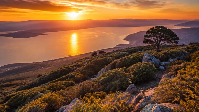 Captivating Visuals: Explore Our Unique Wallpaper Gallery