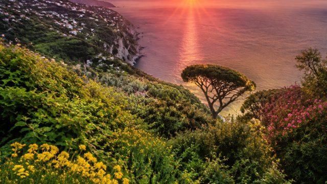 Vibrant Summer Scenes: Perfect Wallpapers for Your Devices | express grab tracking, king cbrbet, berapakah tinggi net bola voli untuk perempuan