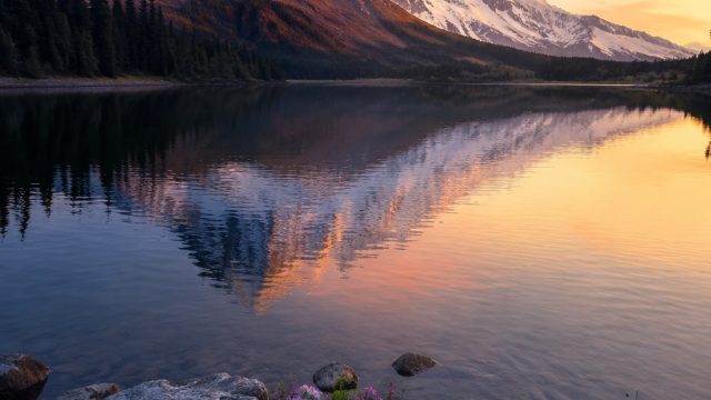 Embrace Tranquility: Nature-Inspired Wallpaper Collection