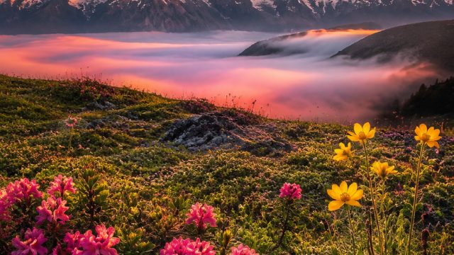 Captivating Visuals: Embrace the Beauty of Nature in Your Space | togel kr, poker 88 apk