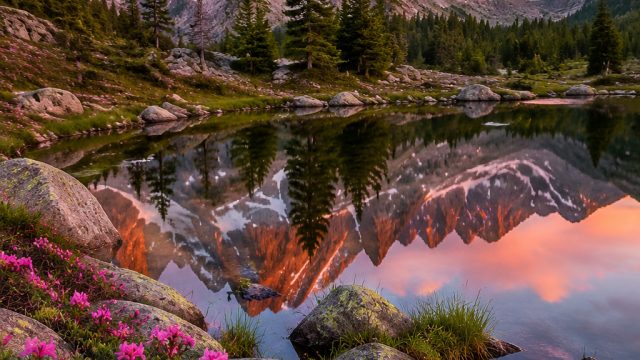 Embracing the Tranquility of Nature: Stunning Wallpaper Options | benteng 777 slot, angsa4d slot