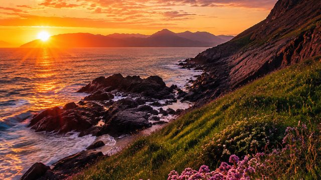Visually Stunning Wallpaper Gallery: A Feast for Your Screens