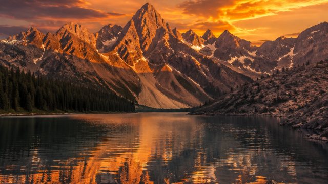 Revitalize Your Screen with Bold and Dynamic Wallpaper Ideas