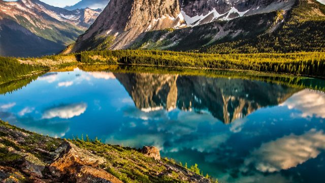 Captivating Images: The Allure of Natural Beauty in Wallpapers | wheel of fortune free slot machines