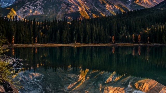 Photography Techniques for Stunning Wallpapers | wahana138 slot, download kupu kupu malam episode 3, gold spin wheel of fortune slot machine