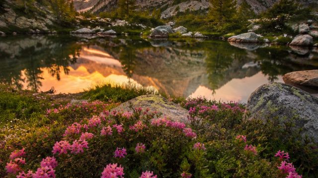 Capturing Nature’s Wonders: Landscape Photography Trends | papas freezeria without flash, rtp dogelexus hari ini