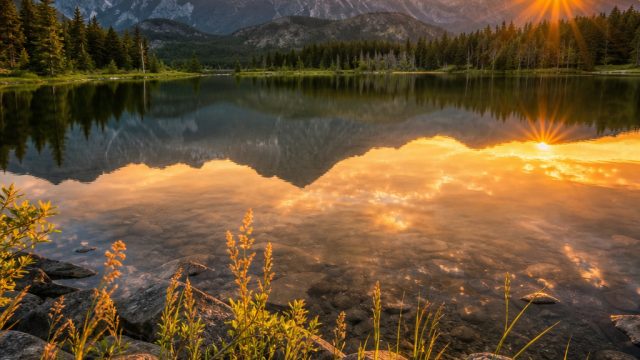 Transform Your Screen with Stunning Natural Landscapes