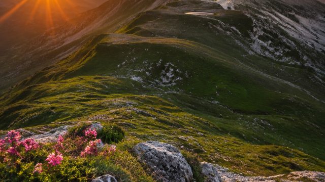 Captivating Landscapes: The Perfect Backdrop for Your Devices