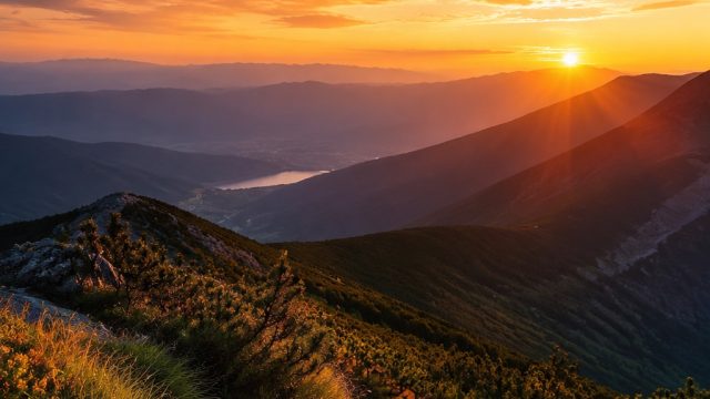 Exploring the Art of Photography: Tips for Captivating Visuals | peraturan catur cepat, jasaq