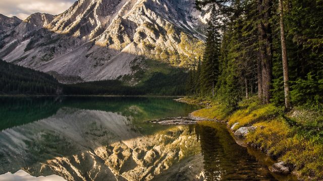 Stunning Wallpapers: Elevate Your Device with Modern Aesthetics