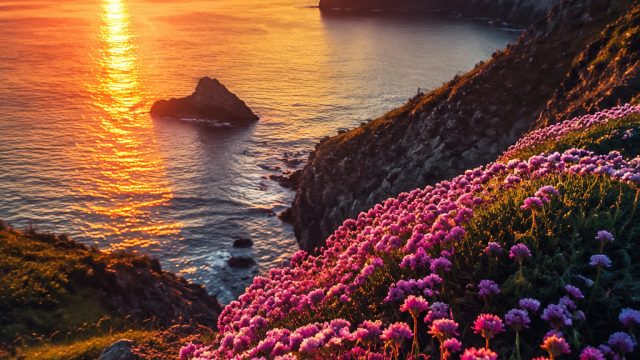 Embrace Vibrancy: Energizing Wallpapers for Your Screen