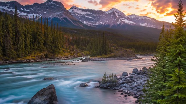Exploring the Serenity of Nature in Wallpaper Art