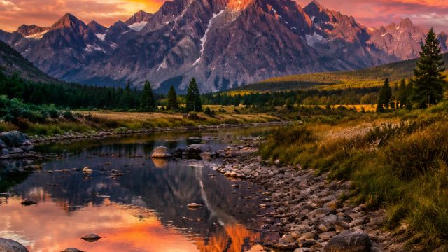 Elevate Your Space: Stunning Nature-Inspired Wallpapers