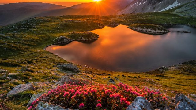 Captivating Nature: The Power of Scenic Wallpapers Today