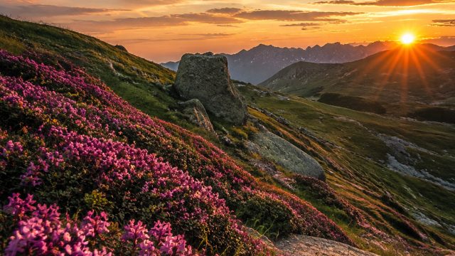 Captivating Nature: Stunning Landscape Wallpapers for Every Mood