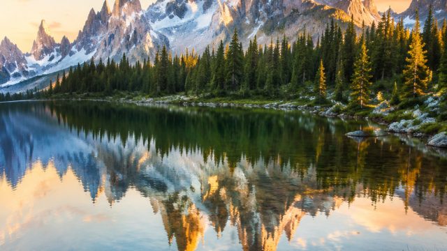 Captivating Visuals: Discover the Allure of Nature Wallpapers