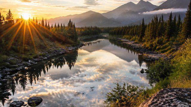 Explore Tranquil Nature Themes for Your Screens