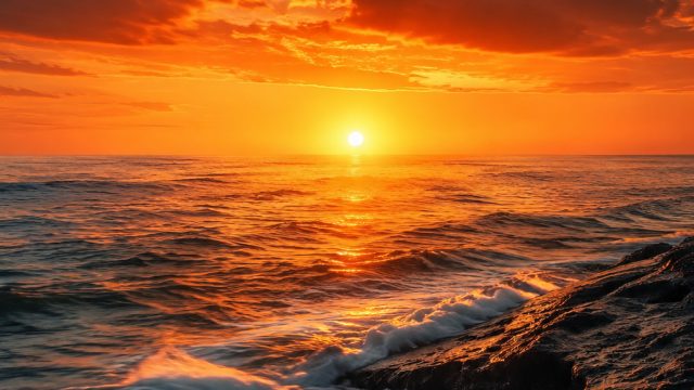 Dynamic Wallpaper Gallery: Embrace the Visual Vibes