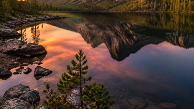 Timeless Tranquility: Capture Serenity in Your Wallpapers | multi slot demo, mapsbet, slot nusa 365