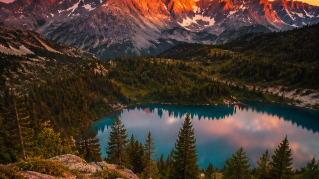 Elevate Your Space with Stunning Nature-Inspired Wallpapers | neonwin386, toto slot88 login, daftar game judi