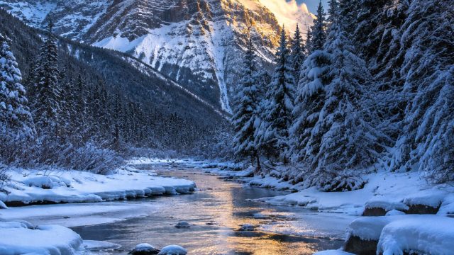 Breathtaking Winter Landscapes: Perfect Phone and Desktop Wallpapers