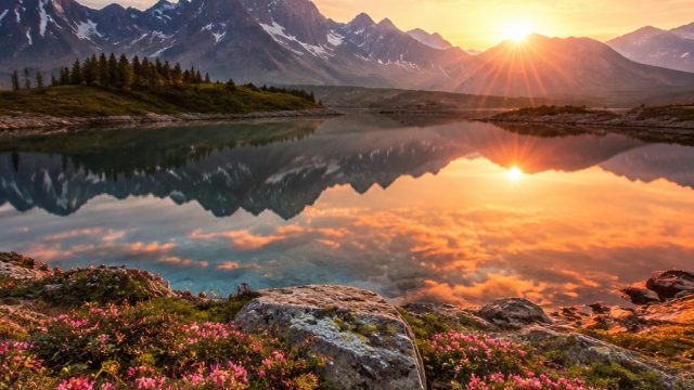 Capturing Serenity: Stunning Nature Wallpapers for Your Screens
