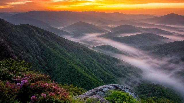 Captivating Nature Scenes: Ideal Backgrounds for Every Device