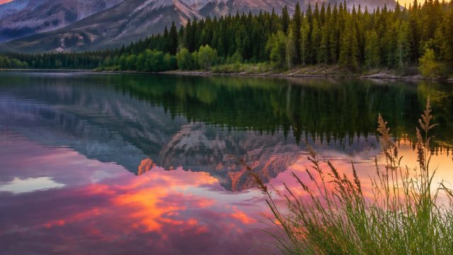 Explore Captivating Nature-Inspired Wallpapers for Every Screen