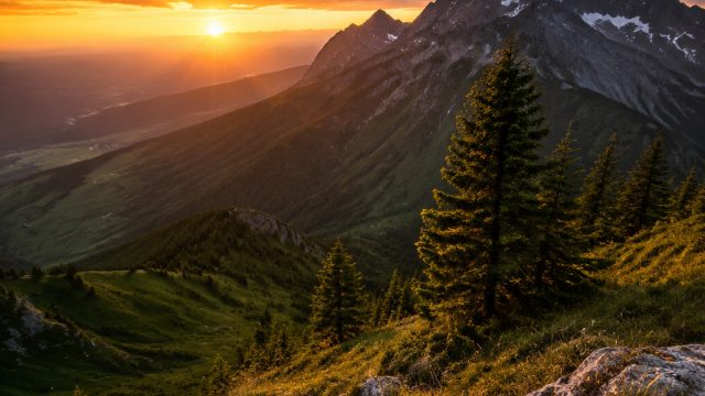 Captivating Nature Photography: Embrace the Wilderness in Your Space