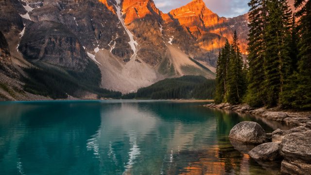 Captivating Nature Photography: Bringing the Outdoors Indoors | play casino slots online for real money, online free fire top up, toto88