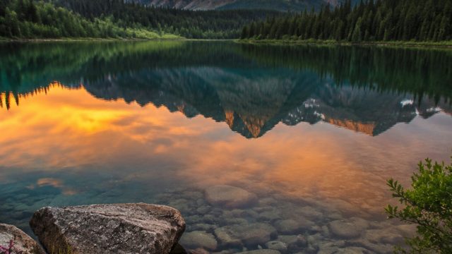 Discovering Serenity: Nature-Inspired Phone and Desktop Wallpapers