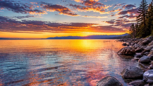 The Art of Photography: Transforming Moments into Timeless Wallpaper | red dog online casino, sin slot