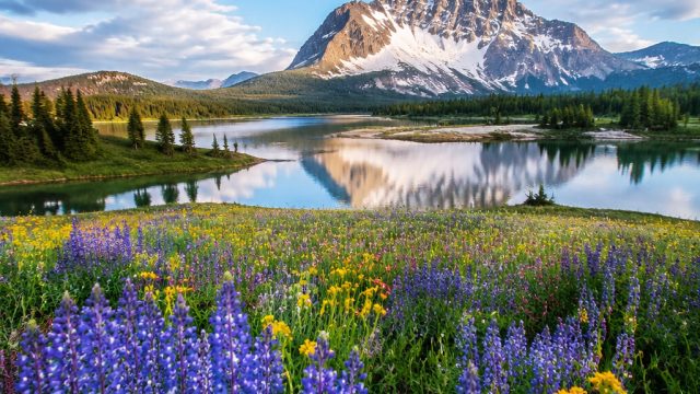 The Influence of Nature Photography on Environmental Awareness | royal win777, cyber basketball 2k20, texas pokercc