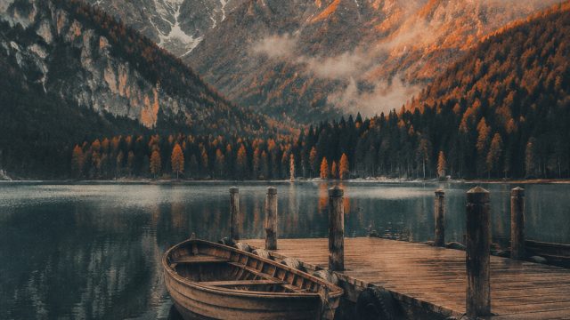 Explore the Charm of Analog Aesthetics in Modern Wallpapers