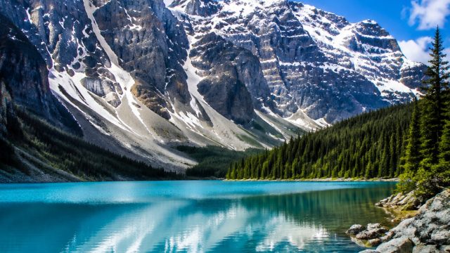 Celebrate Diversity: Vibrant Wallpapers for Every Device | vegas88 slot, situs judi online slot terp