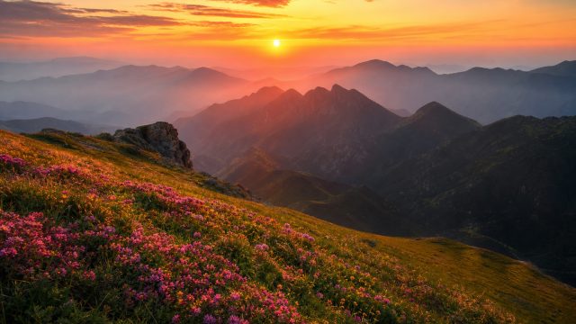 Captivating Outdoor Photography: Transform Your Space