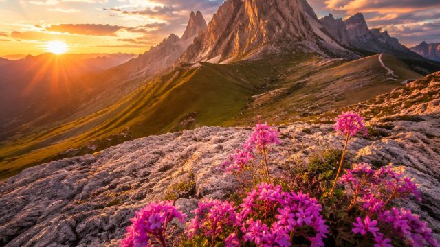 Maximizing Your Photography Skills: Tips for Capturing Stunning Images
