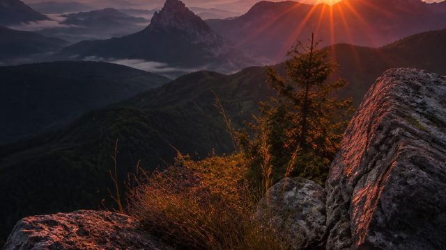 The Influence of Nature in Photography and Design | wallpaper haitani ran bonten, mj368 link alternatif, indonesia indomie