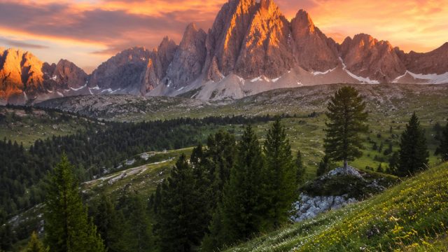 Captivating Visuals: The Allure of Nature's Palette