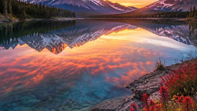 Stunning Visuals: Embracing Nature's Beauty in Wallpapers