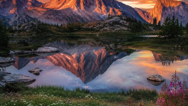 Captivating Nature Scenes: Your Ideal Wallpaper Inspiration