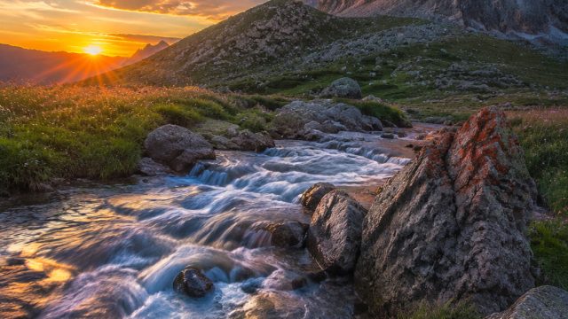 Capturing the Essence of Nature: Top Photography Trends for Wallpaper Design | cara menang slot joker jewels, rtp mabukwin, pemeran thor love and thunder