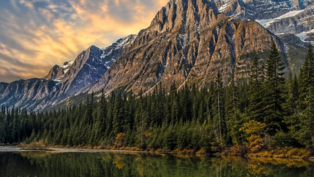Unleashing Nature's Serenity: Captivating Wallpaper Themes