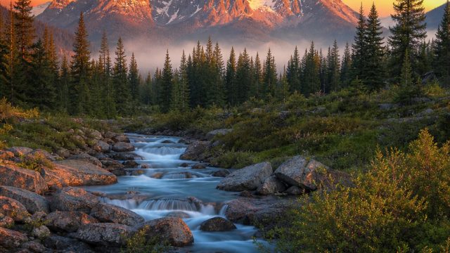 Transform Your Device with Enchanting Nature Wallpapers | betviv, slot gaming123, promo freebet slot member baru tanpa deposit 2021 tanpa syarat