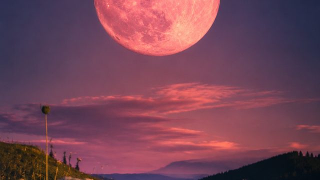 Enchanting Full Moon: Capturing the Essence of the Strawberry Moon | online casino gambling for real money, crazy games 2