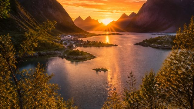 Elevate Your Space with Captivating Nature-Inspired Wallpapers