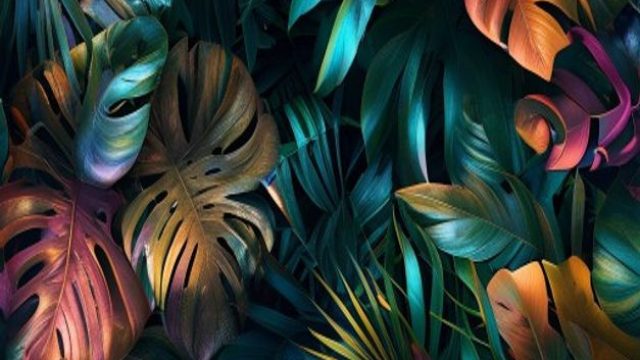 Vibrant Jungle Dreams: Perfect Backgrounds for Nature Lovers | film punisher, cara bermain kartu gap