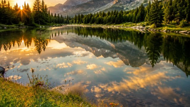 Capturing Nature: The Best Nature Photography Techniques | download adobe lightroom gigapurbalingga, slot bet 1 rupiah