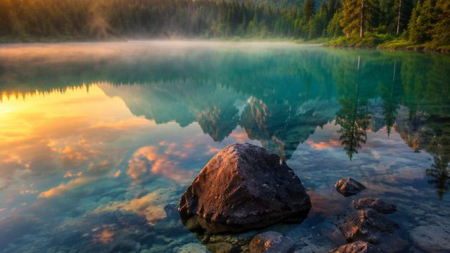 Captivating Nature: A Collection of Stunning Wallpapers