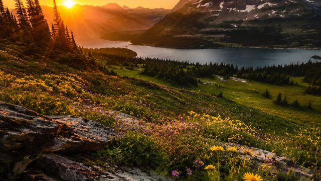 The Best Tips for Capturing Stunning Nature Photos | prediksi hk pools comunity, pinjam uang 10 juta tanpa jaminan, starxo88 login alternatif